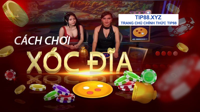 Chơi Xóc Đĩa TIP88: Cách Chơi và Cầu Xóc Đĩa Bất Bại